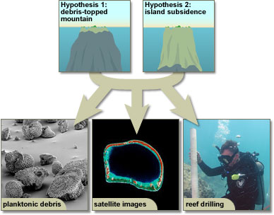 Illustration showing the different lines of evidence that might be used to confirm whether hypothesis one or two is true.