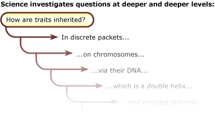 Illustration of iterative science questions.