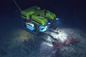 Underwater photo from the Mountains in the Sea Expedition 2004. The ROV Hercules recovers the basalt recruitment block experiment that was deployed by the DSV Alvin subsmersible in 2003. New England Seamount Chain.