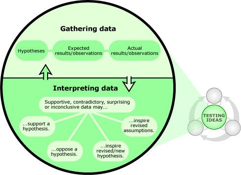 Illustration showing how testing ideas goes from gathering data to interpreting data.