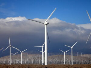 A wind farm in Southern California.