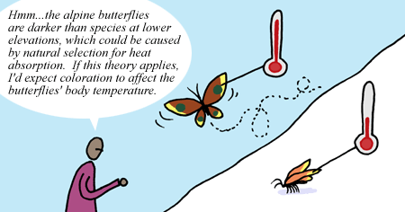 Illustration of how elevation affects coloring of butterflies.
