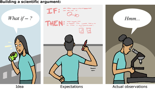 Illustration of how a scientific argument might be built: idea, expectations and actual observations.