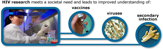 HIV research meets a societal need and leads to improved understanding of: vaccines, viruses and secondary infection.