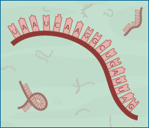 Illustration of a strand of rna.