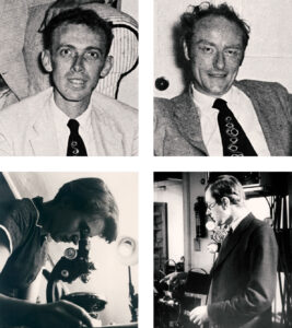 Photographs: Top row, James Watson and Frances Crick. Bottom row, Rosalind Franklin and Maurice Wilkins.