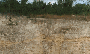 The orange wavy line seen in this wall of a Belize quarry marks the base of a KT debris flow that may have been caused by an asteroid impact.