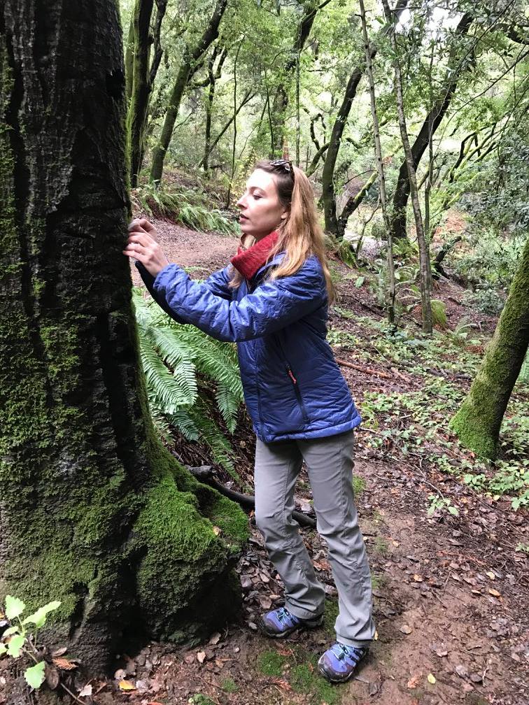 Anna Holden stands next to a tree inspecting the bark closely.