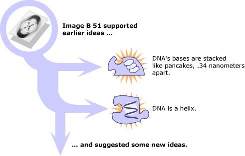 B 51 image supports earlier ideas and suggested new ideas.