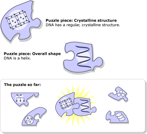 Puzzle pieces: crystalline structure and overall shape.