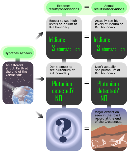 Hypothesis about an asteroid striking the earth at the end of the Cretaceous and the expected and actual observations.