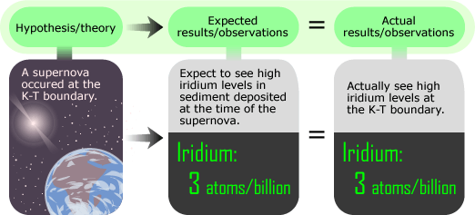 Expected and actual results seem to confirm that a supernova occurred at the K/T boundary.