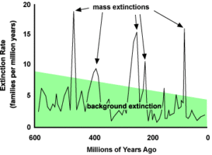 Graph with extinction rate on the y-axis and time in millions of years on the x-axis, showing 5 spikes when mass extinctions occurred in Earth's history.