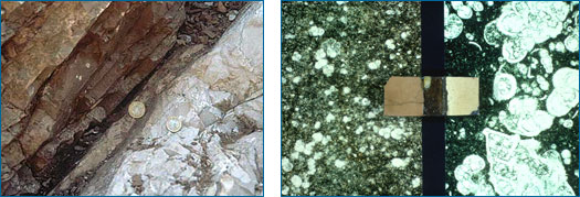 The Cretaceous-Tertiary boundary, as recorded in the rocks at Gubbio, Italy. At left, the later Tertiary rocks appear darker — almost orange — and the earlier Cretaceous rocks appear lighter when viewed with the naked eye. At right, magnification reveals few different sorts of microfossils in the Tertiary layers, but a wide variety in the Cretaceous sample (far right).