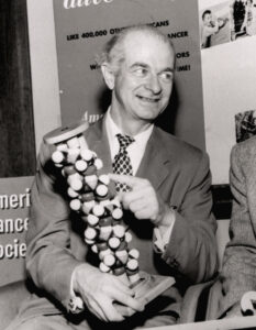 Linus Pauling with a model of the helical structure exhibited in some segments of proteins.