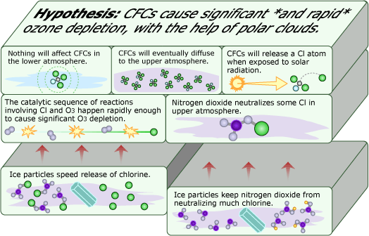 Rowland, Solomon, and Garcia's work suggested a modification to the original hypothesis: CFCs cause significant ozone depletion — and they do it much more rapidly with the help of polar clouds.