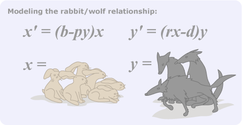 Modeling the rabbit/wolf relationship.