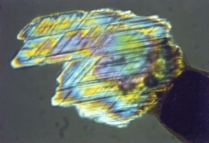 The two sets of planar lamellae in this quartz grain from the KT boundary in the Raton Basin, Colorado, are strong evidence of an impact origin.