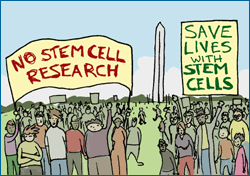Two groups of people protesting, one sign reads "no stem cell research" the other "save lives with stem cells".