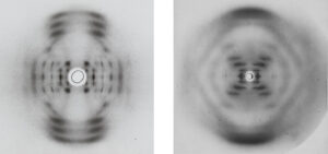X-ray diffraction patterns for the two forms of DNA; at left, form A, at right, form B.