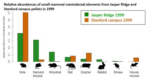 This graph shows each small mammal's proportional abundance within their community at Jasper Ridge and Stanford campus respectively in 1999.