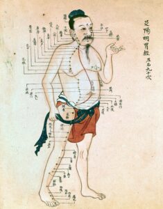 An 18th century Chinese acupuncture chart.