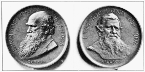 Both sides of the Darwin-Wallace medal.