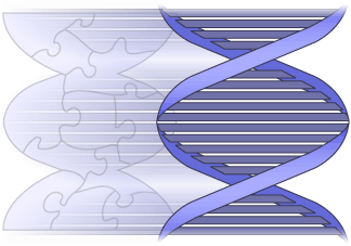 Illustration of DNA with all the "puzzle pieces" that contributed to it's discovery in the background.