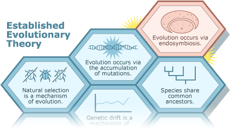 Established evolutionary theory.