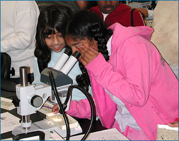 Children looking in a microscope.