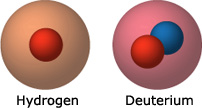 A hydrogen atom has only a single proton in its nucleus, whereas deuterium, a rarer isotope of hydrogen, has a proton and a neutron.