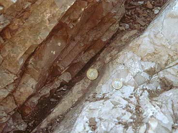 This light-colored, iridium-rich layer (indicated by the coin at center), located at the Cretaceous-Tertiary boundary, is evidence of a possible asteroid impact.