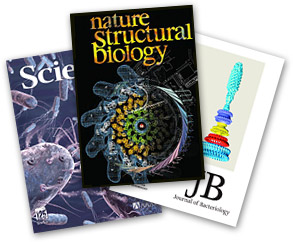 A few journals highlighting new research on bacterial flagella.