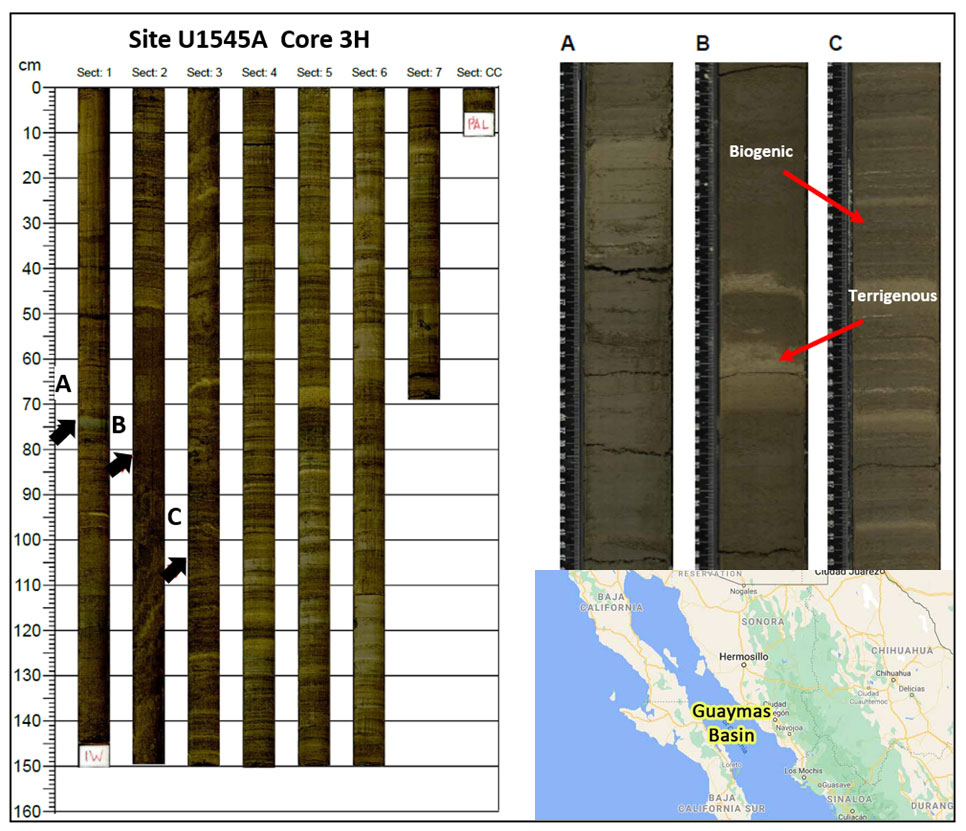 A collage that include sample cores with a map of Baja California highlighting the Guaymas Basin