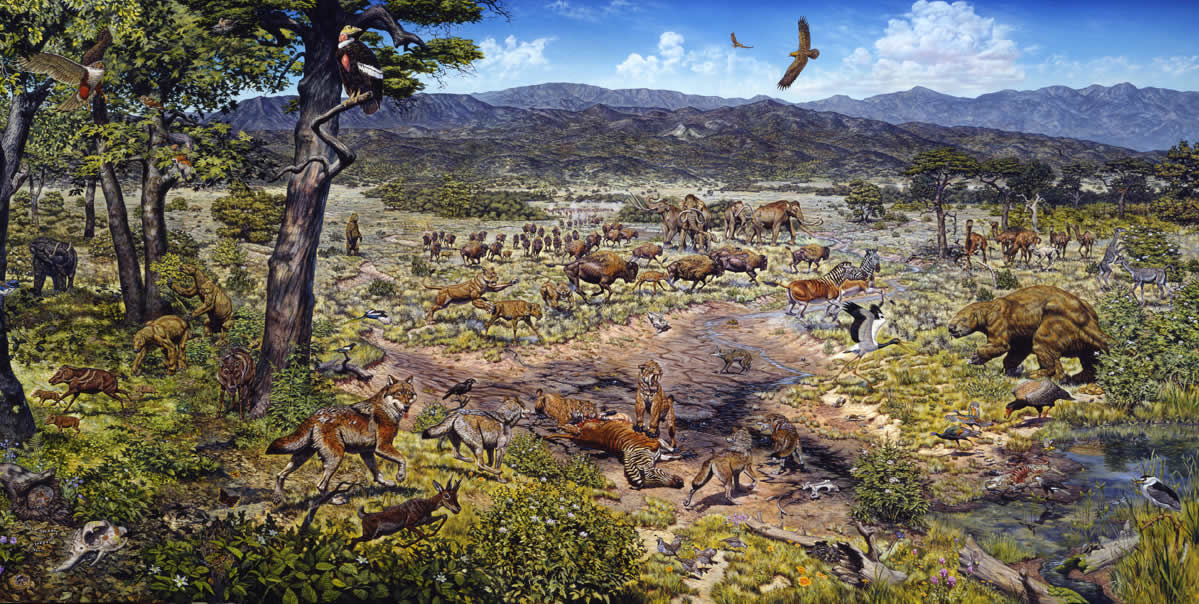 An illustration depicting the ecosystem and animals of the LA Basin in prehistoric times.