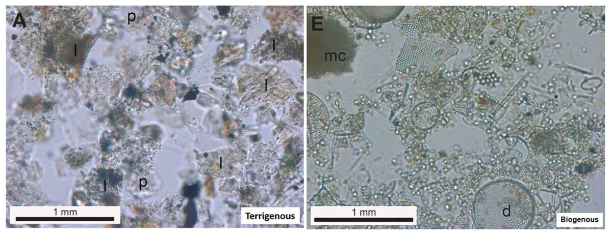 Two microscopic images of sand that show crystal-like formations.