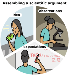 Circle split into 3 pie shape. One shape shows a girl coming up with an idea, the next she is looking through a microscope making observations, and the last she is writing on a white board. This last pie is labeled expectations.