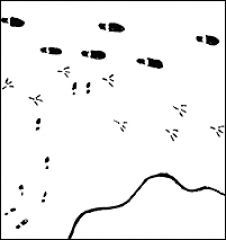 Black and white image of footprints made by different shoes and birds.