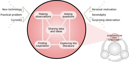 Beginning of the Understanding Flowchart: Exploration and discovery