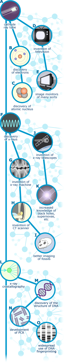 Several circles that contain different parts of science are connected to each other in a long scrolling image.