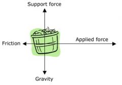 Image explaining forces of gravity and physics on a bushel of apples.