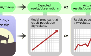 Graphs comparing equation based model versus actual rabbit populations.