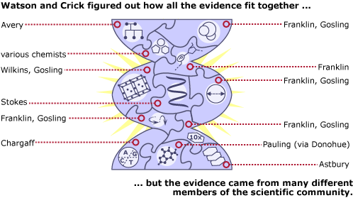 DNA helix as a completed puzzle.