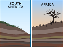 Comparison of cross section of geological rock layers in South America and Africa. They are similar.
