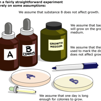 Drawing of Petri dishes, growth medium and two substances.