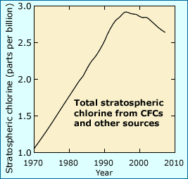 Graph of Chlorine and CFCs rise and start to decline after CFC ban.