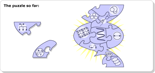 Two puzzle pieces being added to a more and more complete puzzle of DNA.