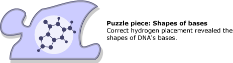 Flat atomic model of DNA bases as a puzzle piece.