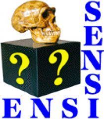 Image of primate skull on a box with question marks.