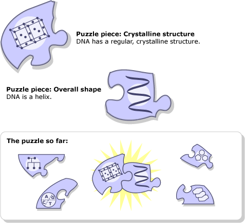 DNA as a puzzle piece.